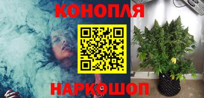 тгк Ставрополь