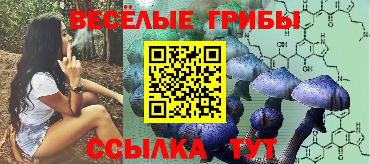 Набережные Челны  Галлюциногенные грибы ЛСД  Вход с VPN 